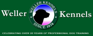 Weller Kennels Dog training New Bern NC